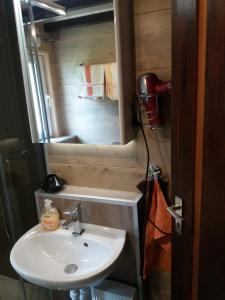 a bathroom with a sink and a mirror at Ferienhaus Altenstrasser in Philippsreut