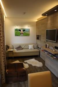 TV a/nebo společenská místnost v ubytování Design-Appartement Jochberg