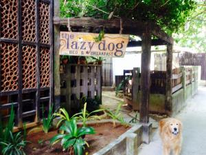 Ospiti di Lazy Dog Bed & Breakfast con animali domestici