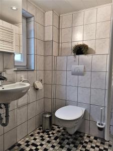 un bagno con un water e un lavandino di Schönes Ferienhaus im Herzen von Quentel a Lichtenau