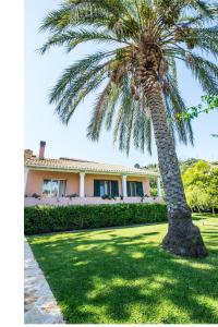 カシオピにあるVilla Giovannaの家の前のヤシの木