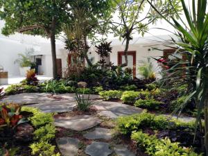 a garden in the middle of a building with plants at Amaia Boutique Hotel in Sayulita