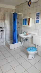 y baño con aseo, lavabo y ducha. en FerienHaus Elim en Morbach
