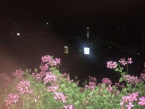 Zahrada ubytování Albergo Croce d'Aune