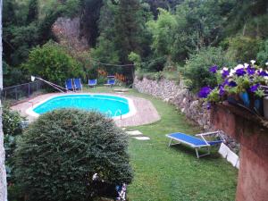 Bazén v ubytování Il Borgo della Colomba nebo v jeho okolí