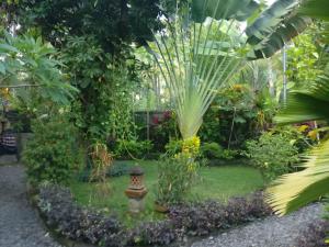 สวนหย่อมนอก Guesthouse Taman Ayu