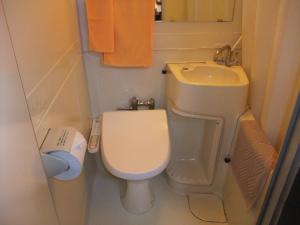 
a white toilet sitting next to a sink in a bathroom at Hotel New Takahashi Takezono in Tsukuba
