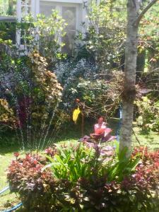 Fotografie z fotogalerie ubytování Pondok Plantation Luxury Mountain Escape Bedugul v destinaci Bedugul