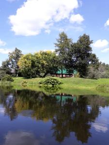 a lake with trees and a house in the background at Gliemji in Krāslava