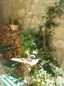 einen Garten mit einer Bank und einigen Pflanzen in der Unterkunft À l'étape des jeunes randonneurs un adulte un enfant in Saignon