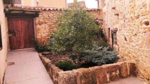 een binnenplaats met een boom voor een gebouw bij La Casa Amarilla in Olleros de Pisuerga