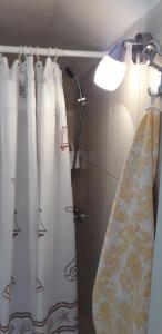 a bathroom with a shower curtain and a light at Apartments Bilić in Vis +53 photos