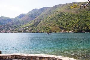 un grupo de personas en un barco en un lago con montañas en Apartmani Vesna, en Tivat