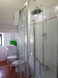 a bathroom with a glass shower and a toilet at Agriturismo Bella Valle in Marina di Cecina