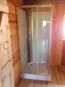 a shower with a glass door in a room at gîte 8 personnes " LE CHAMOIS " in Gerbépal +7 photos