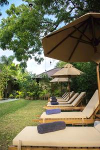 a row of lounge chairs with umbrellas and towels at The Spice Trail in Arugam Bay