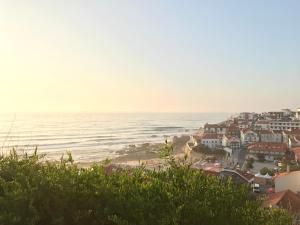 a view of a beach with houses and the ocean at São Pedro de Moel by Campigir in São Pedro de Moel +29 photos