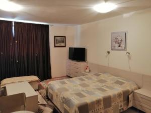 Apartments in Borovets Gardens في بوروفتس: غرفة نوم مع سرير وتلفزيون في خزانة