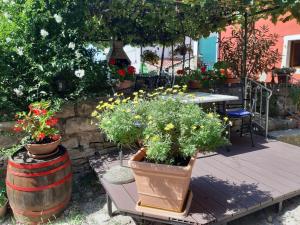 Zahrada ubytování Guesthouse Villa Marija