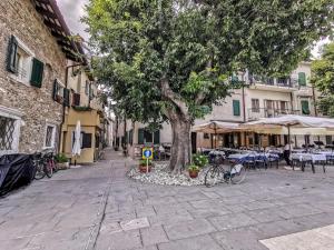 un albero in un cortile con tavoli e sedie di Calle del Palazzo a Grado