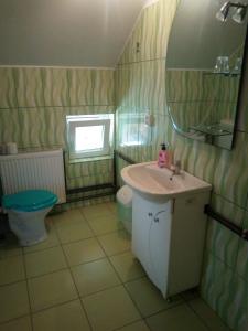 a bathroom with a sink and a toilet and a mirror at Pensiunea Valea Beiului in Socolari