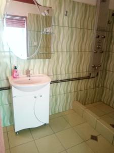 a bathroom with a sink and a shower at Pensiunea Valea Beiului in Socolari