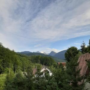 a view of a valley with mountains and trees at Popas Balea Rau in Cârțișoara