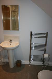 een badkamer met een wastafel, een spiegel en een toilet bij Carrowbruagh in Limavady