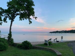 a tree and a bench next to the water at Cozy Garden Apartment Along the Shoreline in Guilford