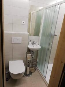 une petite salle de bain avec toilettes et lavabo dans l'établissement Apartmaji Pavc, à Bohinj 12 autres photos