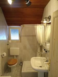 La salle de bains est pourvue de toilettes, d'un lavabo et de toilettes. dans l'établissement Apartmaji Pavc, à Bohinj