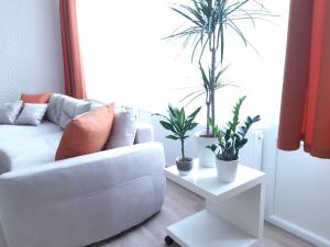 Area soggiorno di Modern, Quiet & Cozy Apartment in the middle of Downtown near Danube at Fashion street
