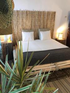 a bedroom with a bed and a plant at Cactus Host in Las Palmas de Gran Canaria