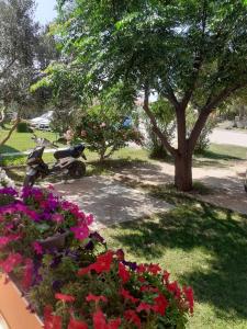 a scooter parked under a tree in a yard with flowers at Apartmani Ruža in Novalja