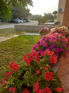 a flower garden with red and pink flowers at Apartmani Ruža in Novalja