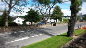 a street with trees on the side of a road at Little Robin B&B in Dufftown