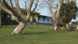 une maison avec deux arbres devant elle dans l'établissement Recanto dos Pioneiros, à Nova Petrópolis