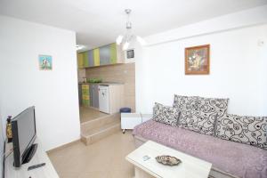 ein Wohnzimmer mit einem Sofa und einem TV in der Unterkunft Apartmani Mishe in Vevčani