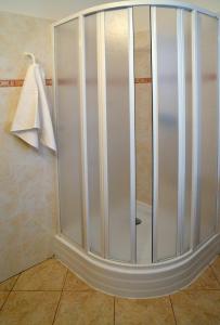 a shower with a glass door in a bathroom at Penzion Horalka in Hlinsko