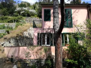 a pink house with a tree in front of it at Gianna's cosy apartment in Monterosso al Mare