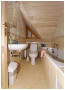 ein Badezimmer mit einem Waschbecken, einem WC und einem Waschbecken in der Unterkunft Chata 23 in Turčianske Teplice