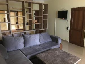 a living room with a couch and a tv at LN'S APARTMENT in Borjomi