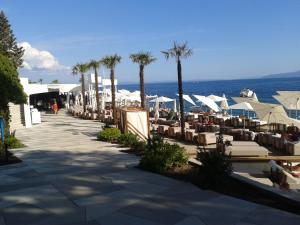 plaża z krzesłami i palmami i oceanem w obiekcie Studio Apartment Vanna - 1st row to the sea w mieście Opatija