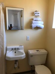 a bathroom with a sink and a toilet and a mirror at Payette Motel in Payette