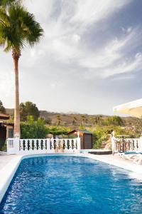 a pool with a palm tree next to a house at La Finca del Morro in San Miguel de Abona