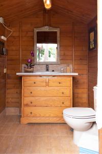 a bathroom with a sink and a toilet at La Finca del Morro in San Miguel de Abona