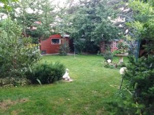 a yard with a garden with a yard at Maison de village in Horbourg