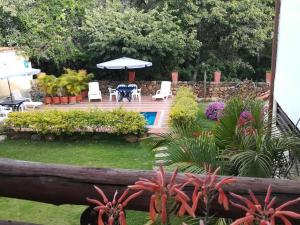 un jardín con piscina, sillas y plantas en Casona El Retiro Barichara, en Barichara