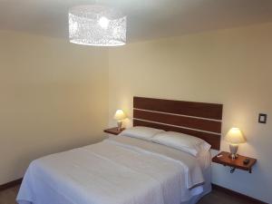Postel nebo postele na pokoji v ubytování Hotel La Posada de Francisca