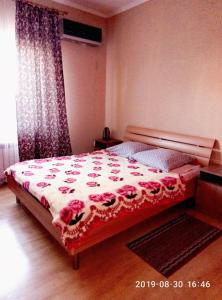 サラトフにあるBarin Guest Houseのベッドルーム1室(ベッド1台、赤と白の毛布付)